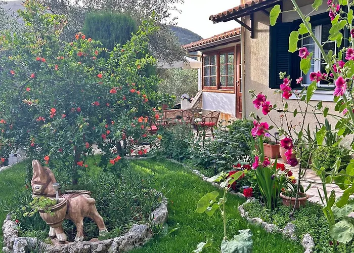 Nikolas * Asprogerakata